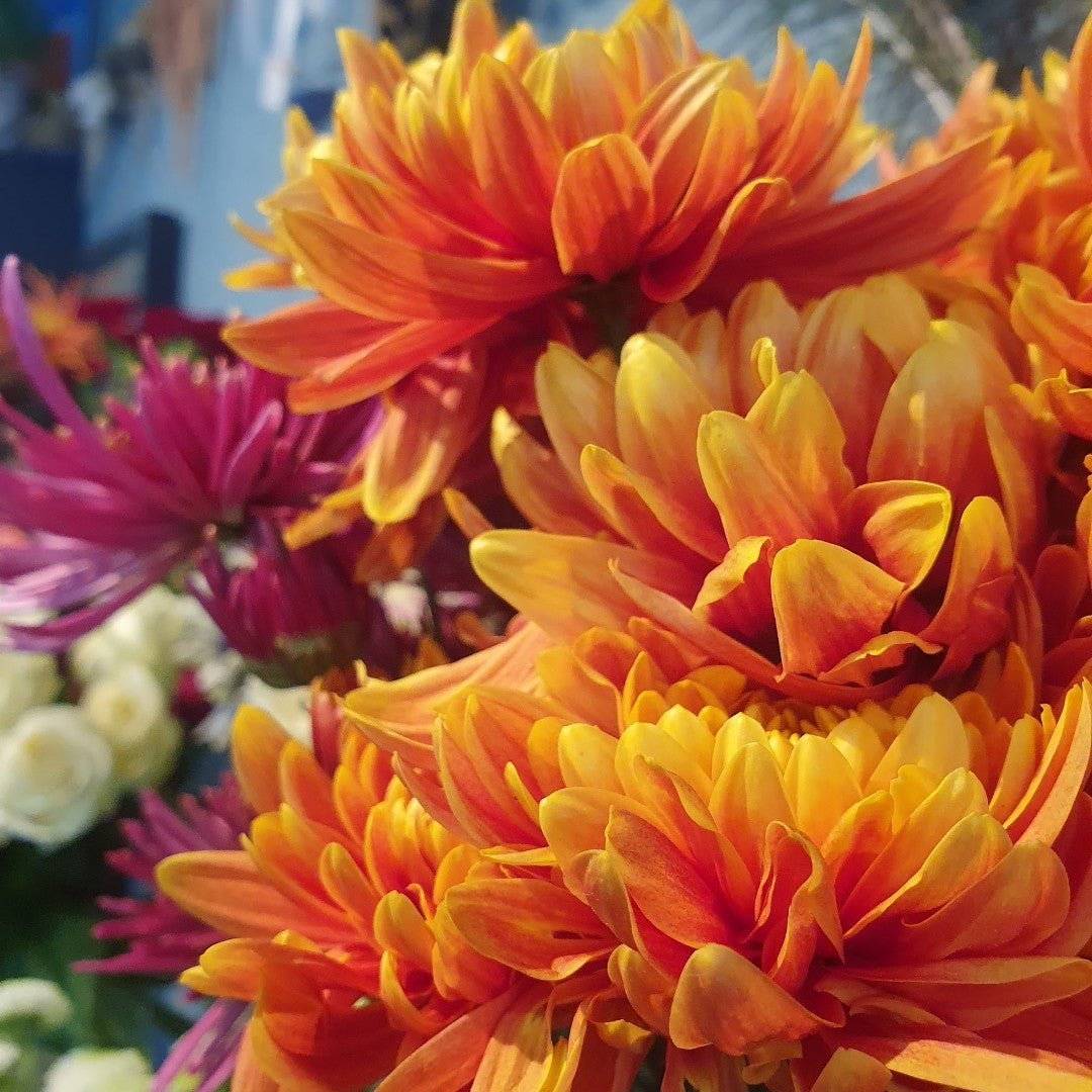 Atelier bouquet de fleurs de saison