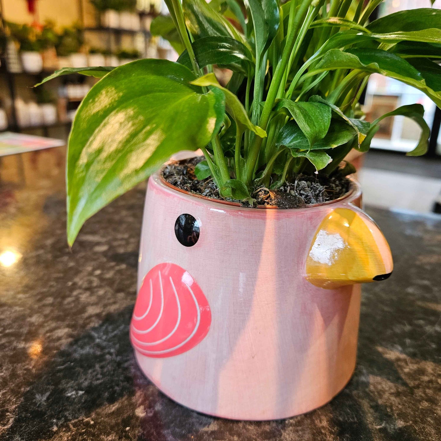 Cache-Pot Oiseau 🌿