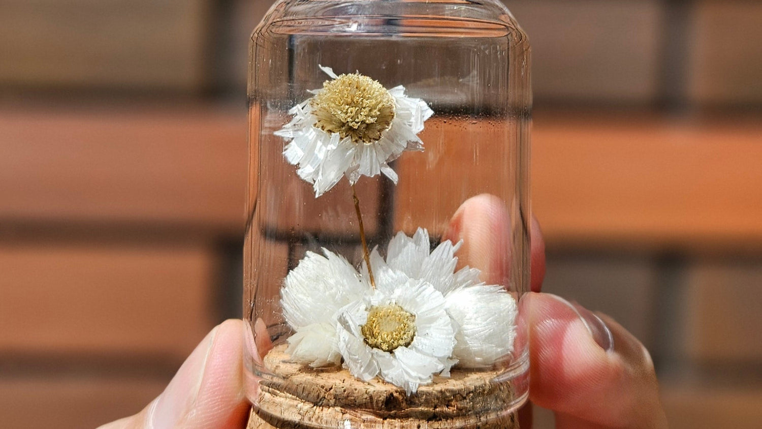 Globe de fleurs séchées