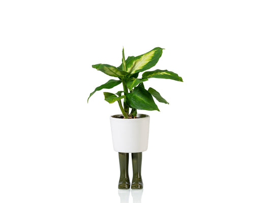 Grande jardinière botte verte