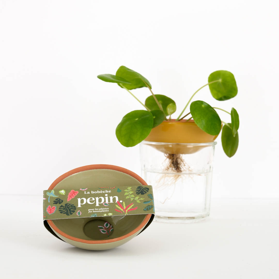 Bobèche Plantes 🌱 - Vert sauge