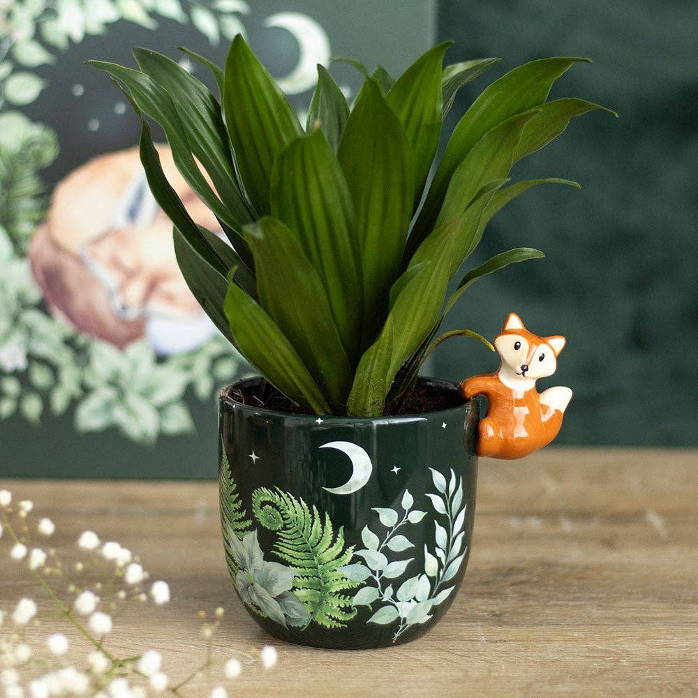 Pot forêt renard