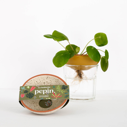 Bobèche Plantes 🌱 - Blanc grainé