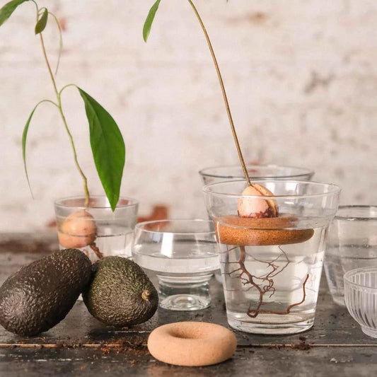Bouée pour Avocat