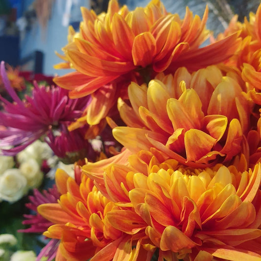 Atelier bouquet de fleurs de saison