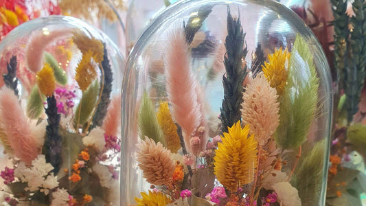 Globe fleurs séchées