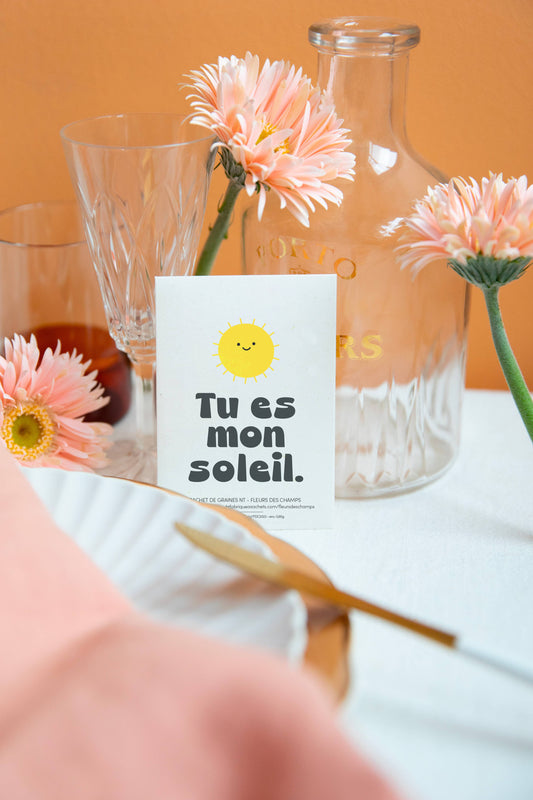 Tu es mon soleil - Sachets de graine de Fleurs des champs