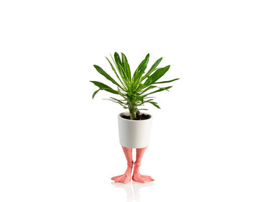Petit cache-pot Pieds de flamant