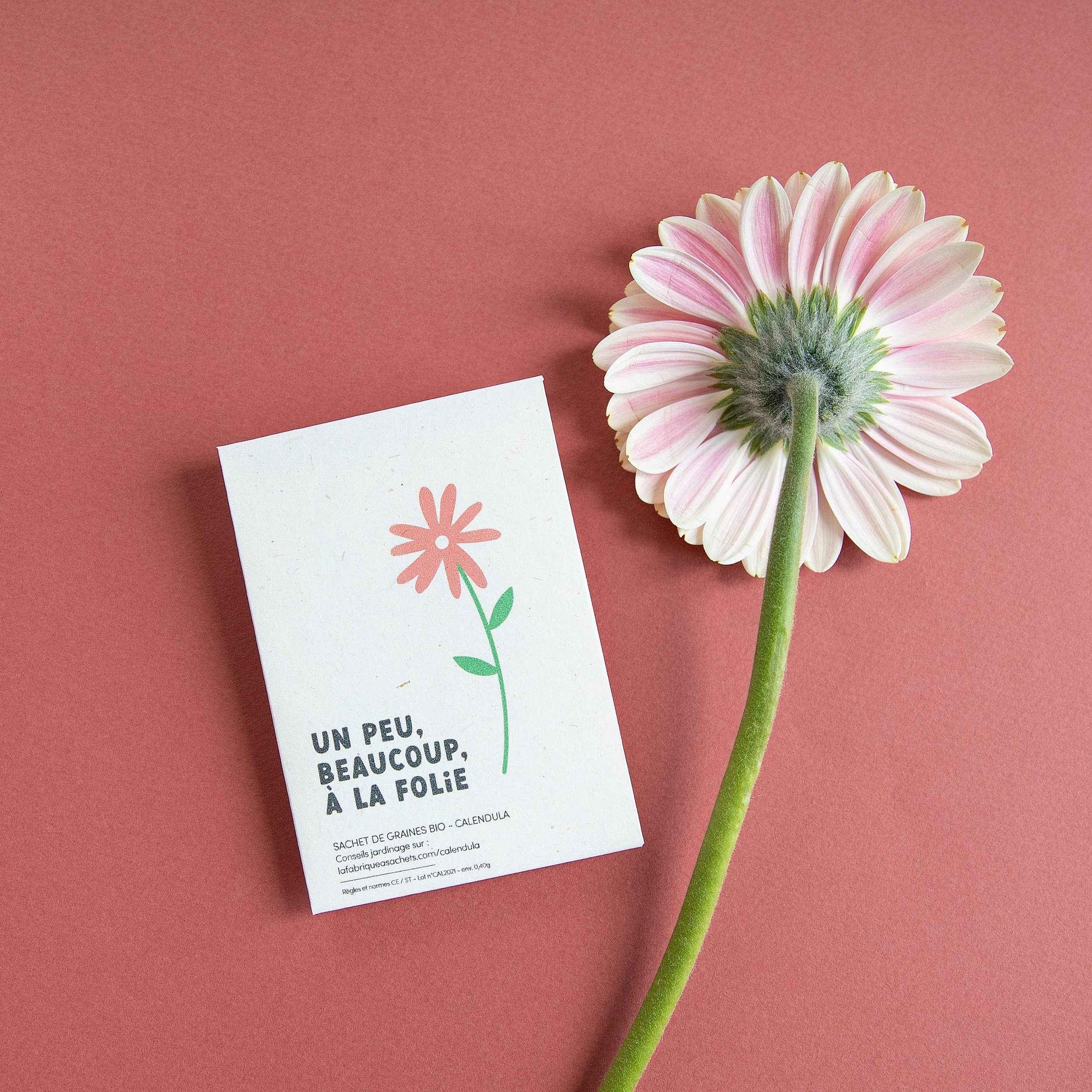 Un peu, beaucoup, à la folie - Sachet de graines Calendula