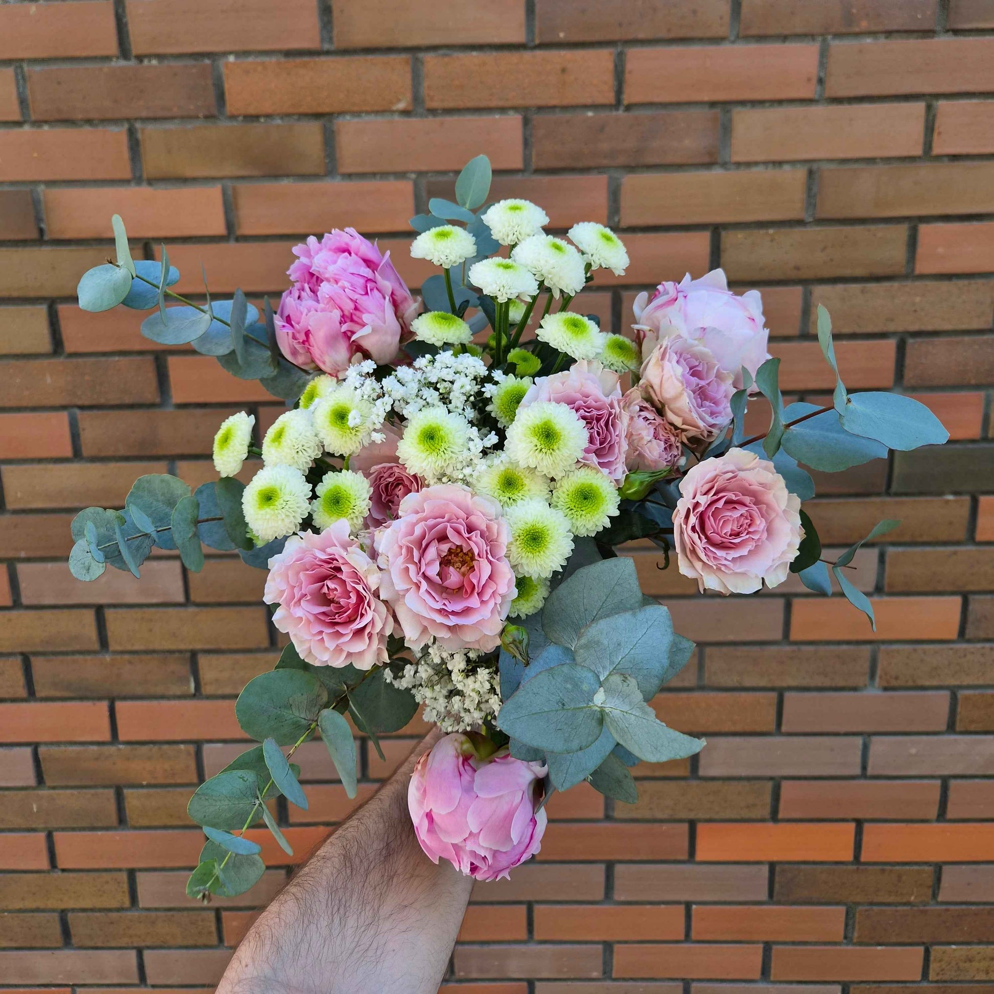 Douceur Rose