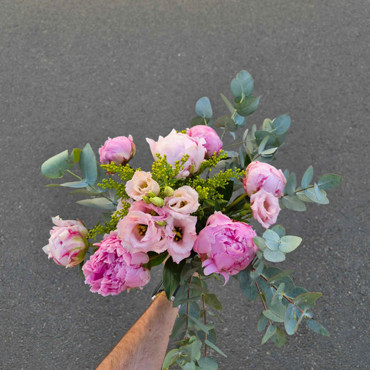O Pivoine