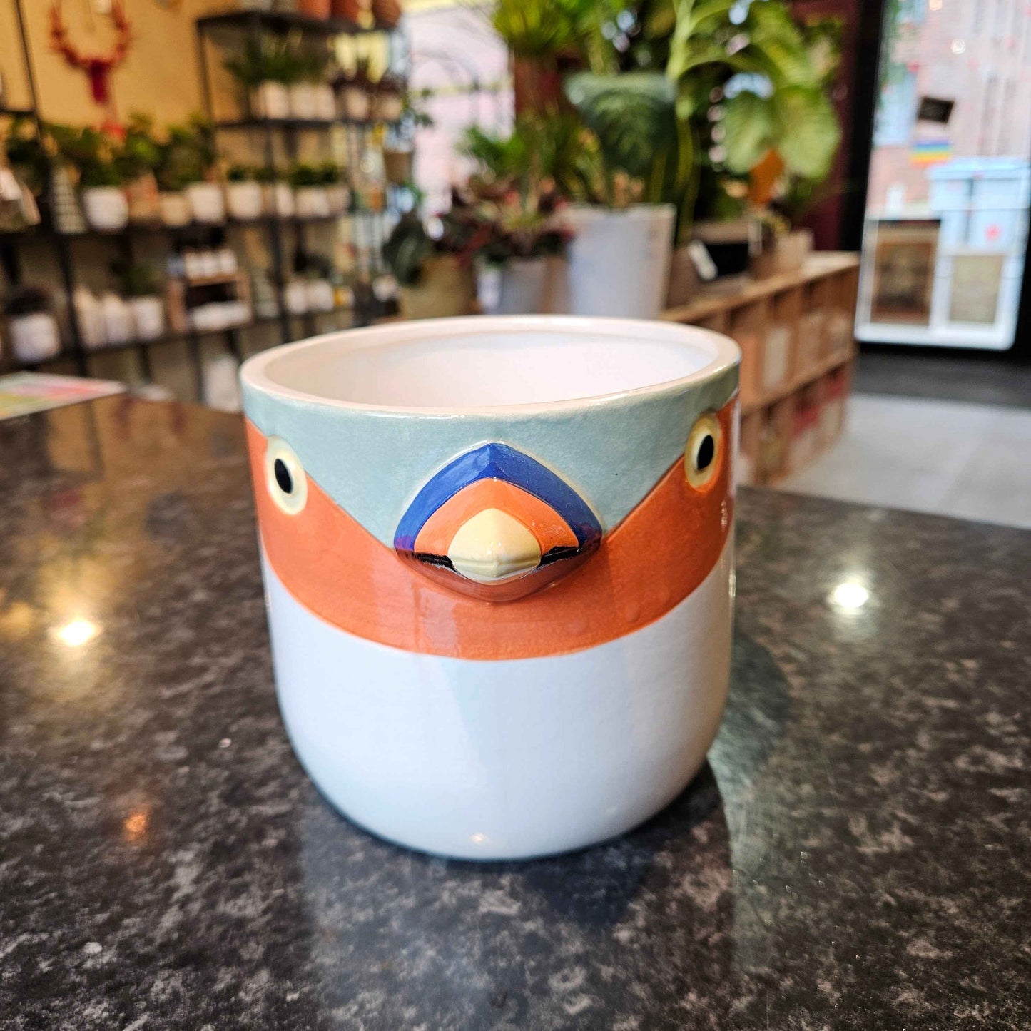 Cache-Pot Perroquet✨