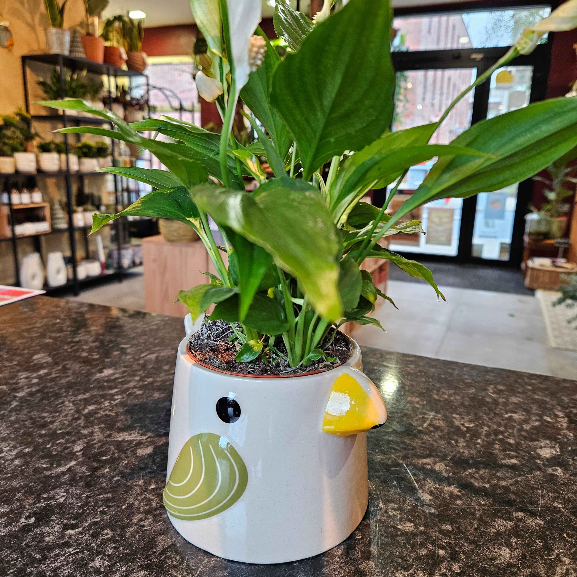 Cache-Pot Oiseau 🌿