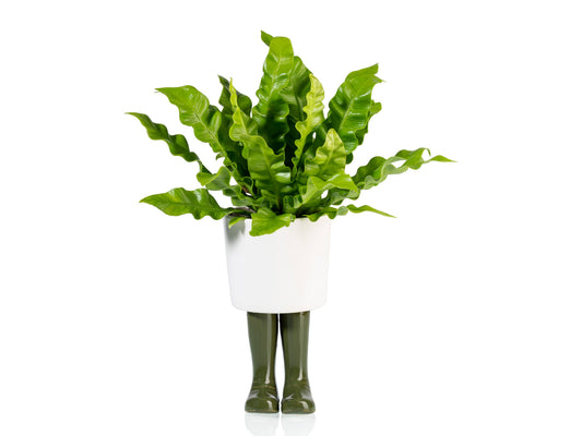 Petite jardinière en botte Wellington verte