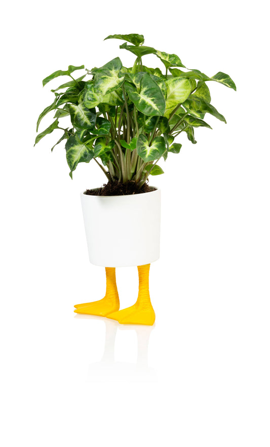 Grande jardinière en forme de pieds de canard