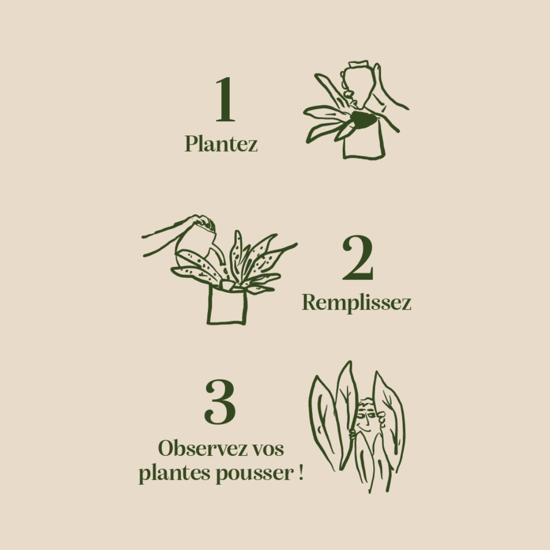 Olla - Vert Pistache
