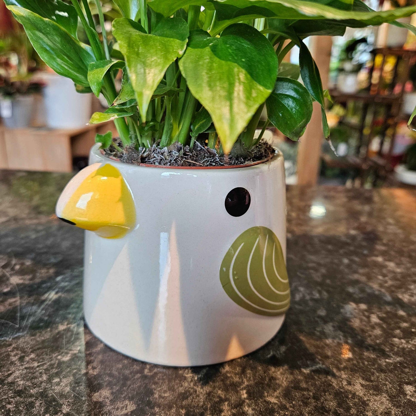 Cache-Pot Oiseau 🌿