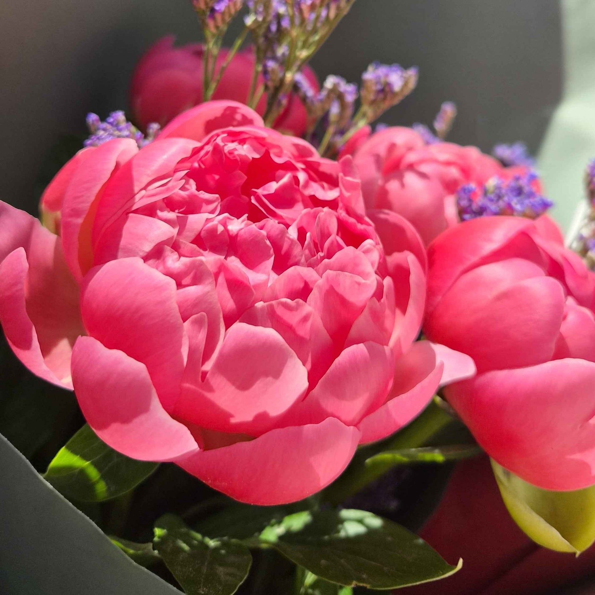 Bouquet Eden - pivoines rose 🌸