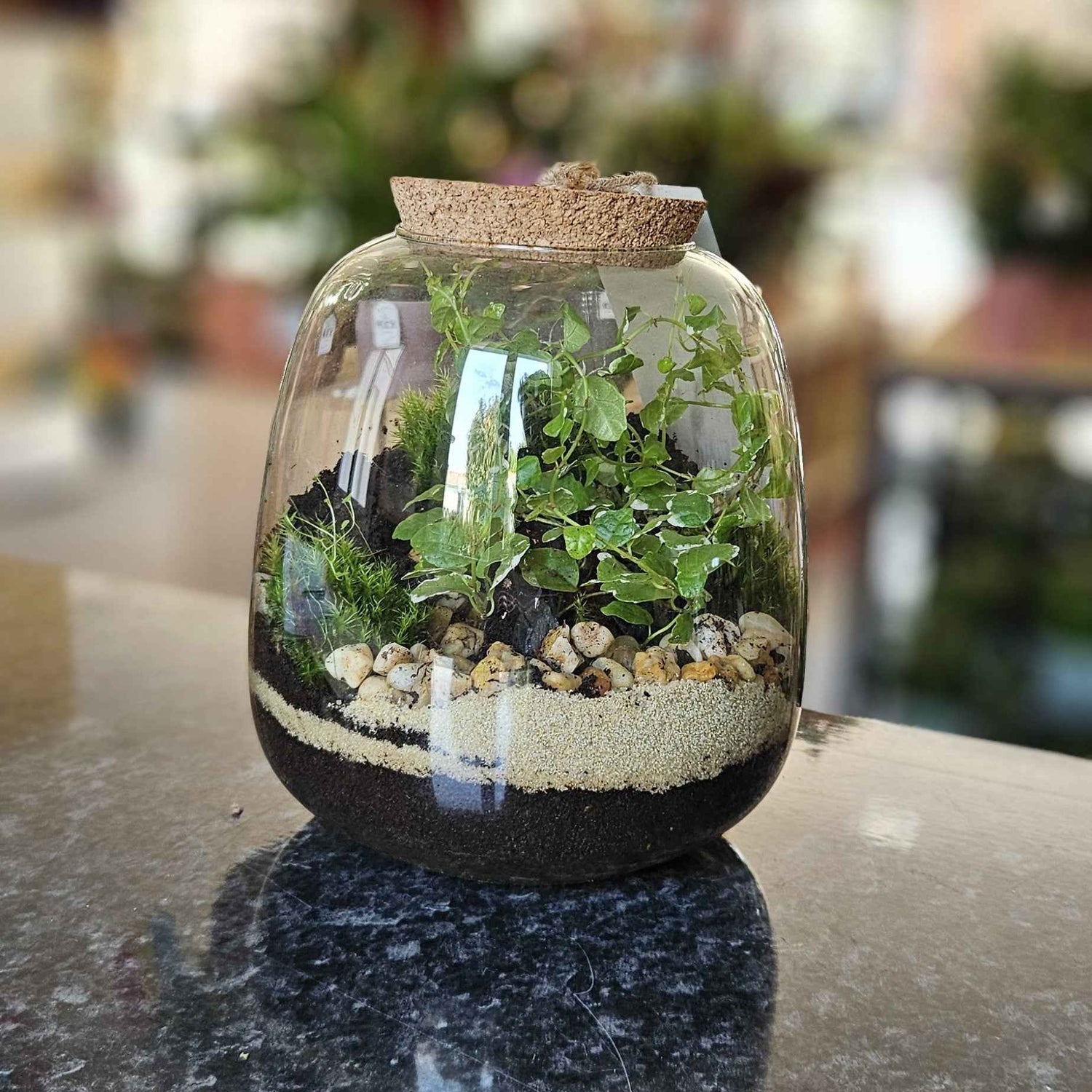 Atelier Terrarium