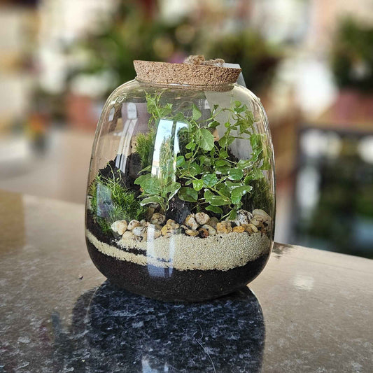 Terrarium