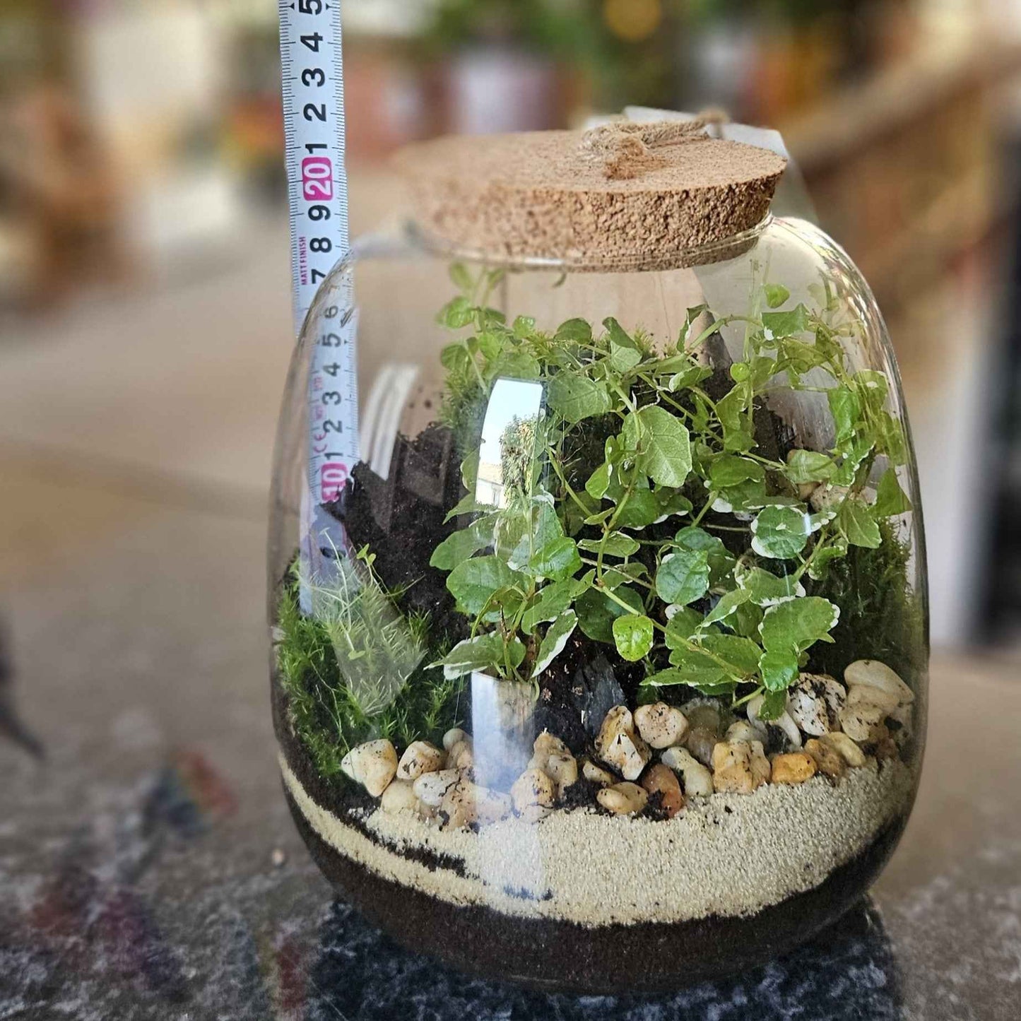Terrarium
